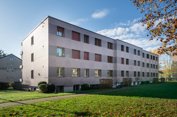 Aesch BL