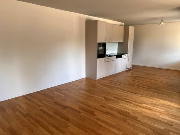 Moderne und helle 1 Zimmerwohnung im Hirzbrunnen-Quartier! 1