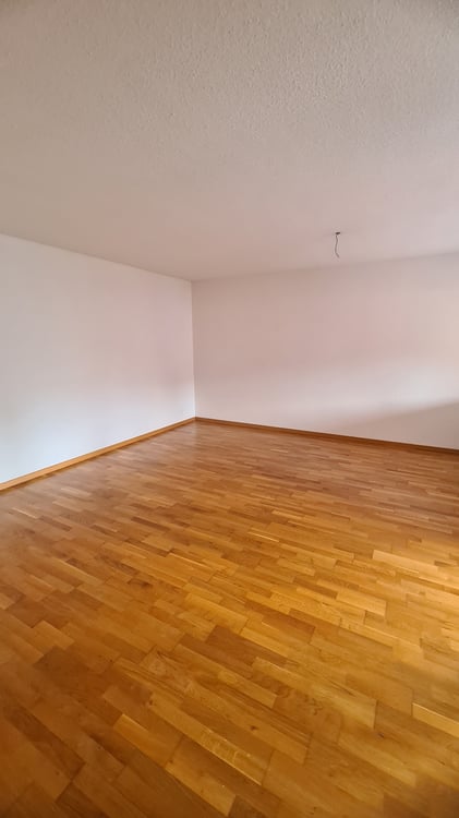 Neusanierte 1.5 Zimmer-Wohnung in Altstätten 5