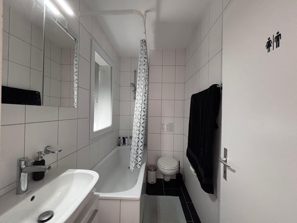Helle 2.5-Zimmer-Attikawohnung zu vermieten 1