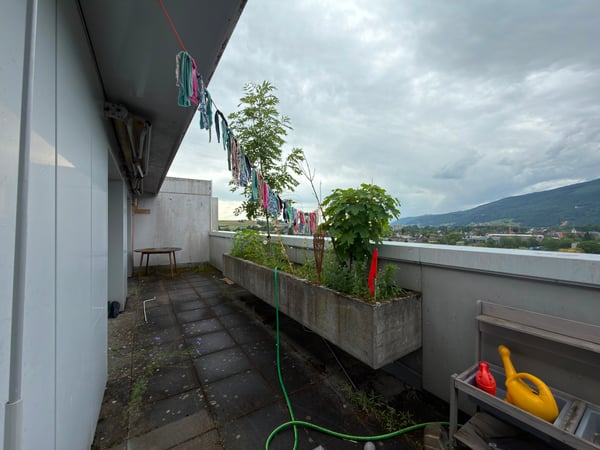 Grosszügige 4,5-Zimmer-Attikawohnung mit weitläufiger Panoramaterrasse 13