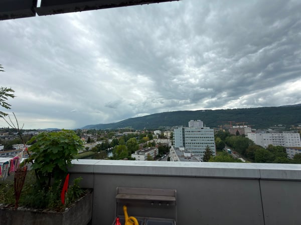 Grosszügige 4,5-Zimmer-Attikawohnung mit weitläufiger Panoramaterrasse 12