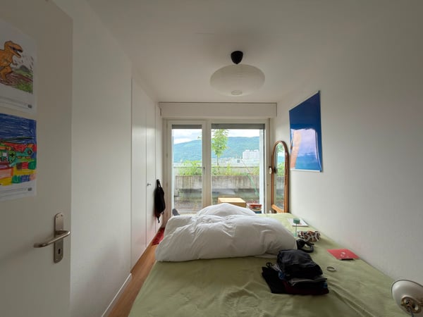 Grosszügige 4,5-Zimmer-Attikawohnung mit weitläufiger Panoramaterrasse 4
