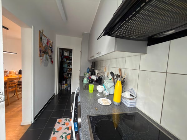 Grosszügige 4,5-Zimmer-Attikawohnung mit weitläufiger Panoramaterrasse 3