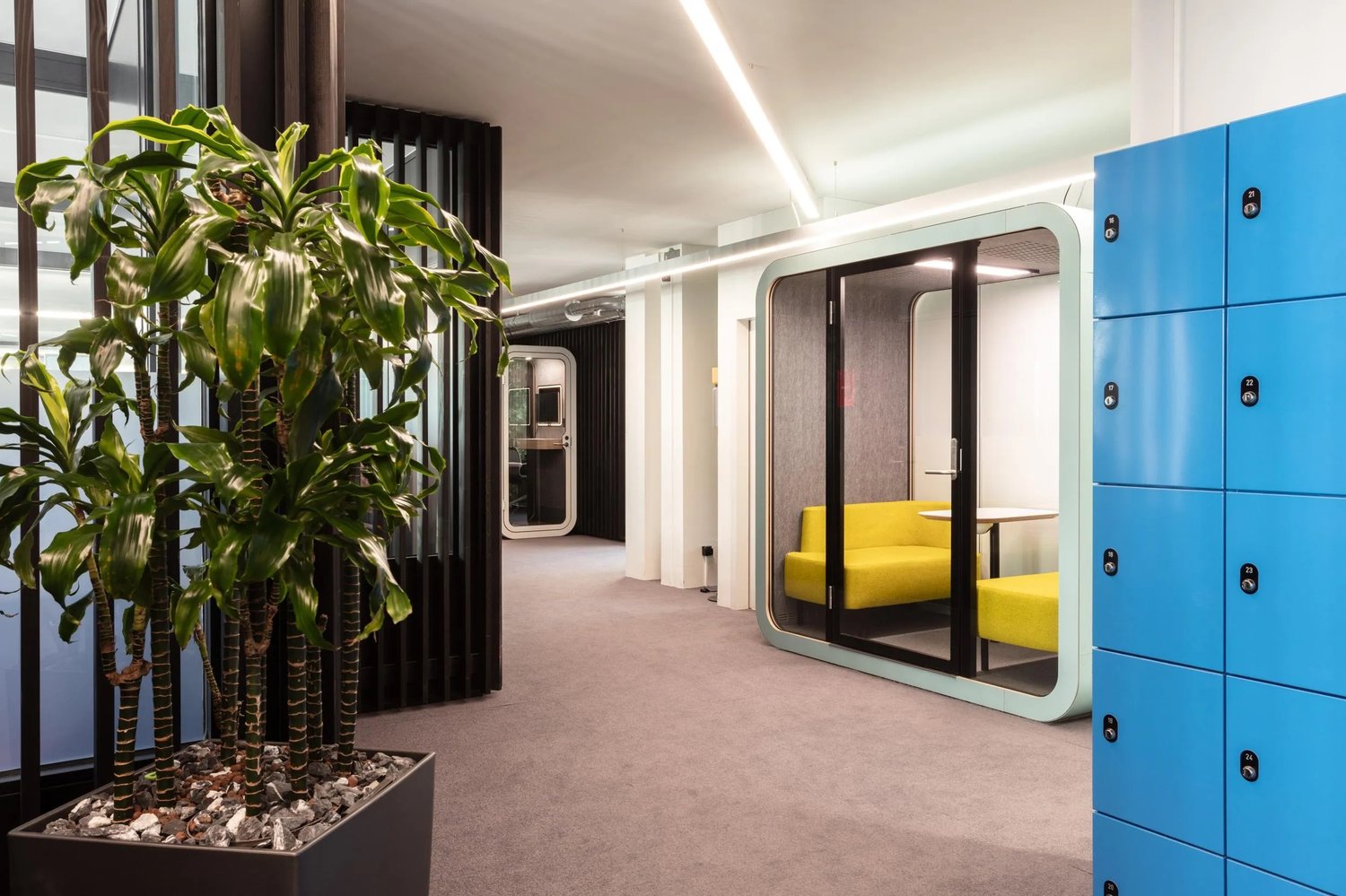 Modern office space with large potted plants, blue lockers, and a yellow sofa pod for private work or relaxation