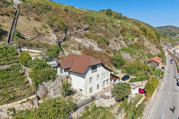LIGNES PURS & HISTOIRE VIGNERONNE AU BORD DU LAC DE BIENNE 5