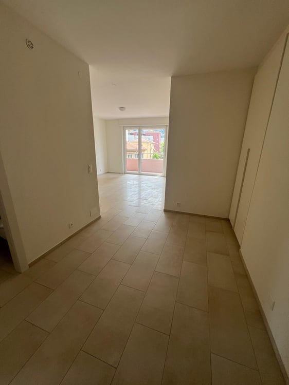 Lugano - Affittasi 2.5 locali completamente ristrutturato 4