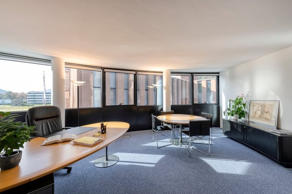 Uffici elegantemente arredati da 125 MQ a 370 MQ al WTC LUGANO, un indirizzo importante 13