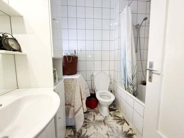 Servette - Charmant appartement de 1 pièces à louer avec terrasse 9