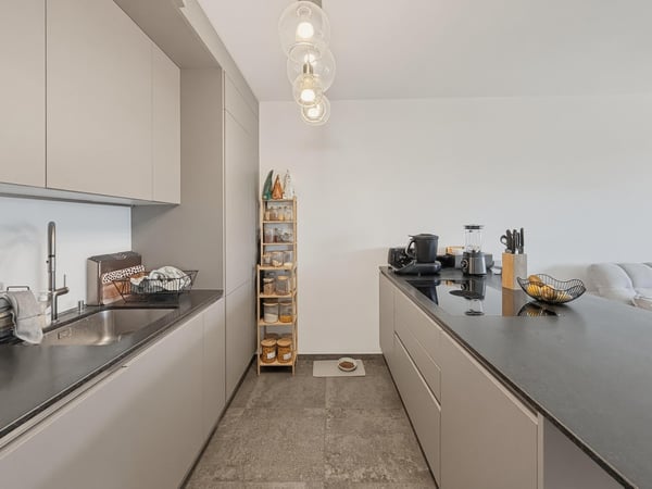 Magnifique 5 pièces de haut standing avec terrasse et vue Salève – Chêne-Bourg 9