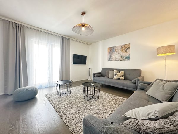 Appartement neuf et meublé - Centre-ville 15