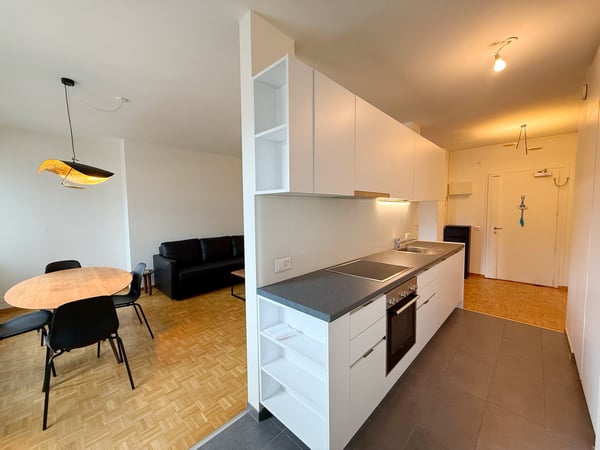 Magnifique appartement entièrement meublé Rue du Rhône (UNE ANNEE) 3