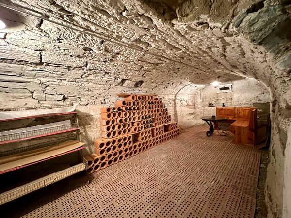 Historisches Zweifamilienhaus mit zwei separaten Einheiten – Wohnen & Arbeiten vereint 3