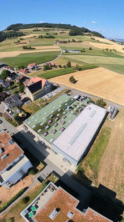 VIELSEITIGE UNTERNEHMENSLIEGENSCHAFT MIT LOGISTIK, BÜROS, BETRIEBSWOHNUNG UND TIEFKÜHLLAGER 13