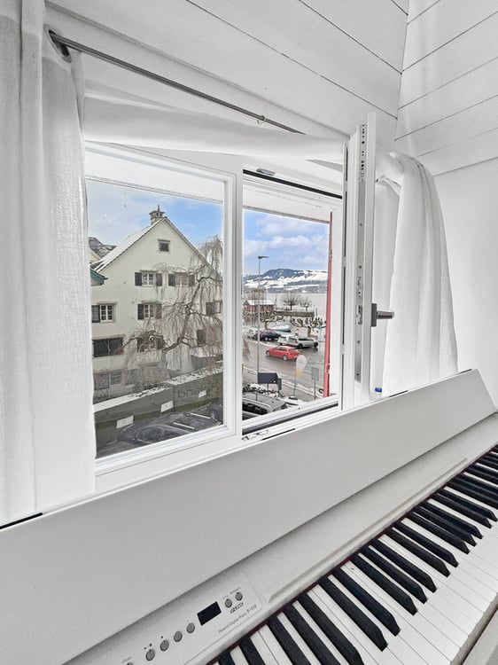 🌊 Wo der Zürichsee zum direkten Nachbar wird 7