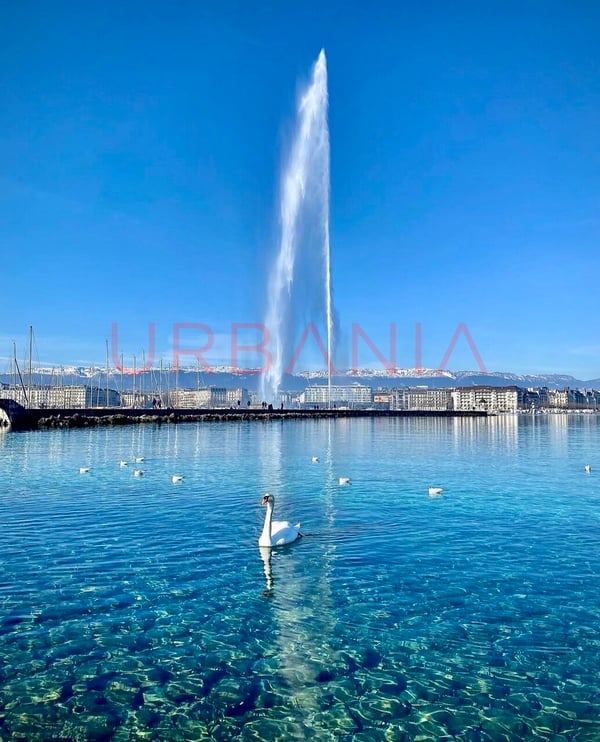 Immeuble à vendre 1