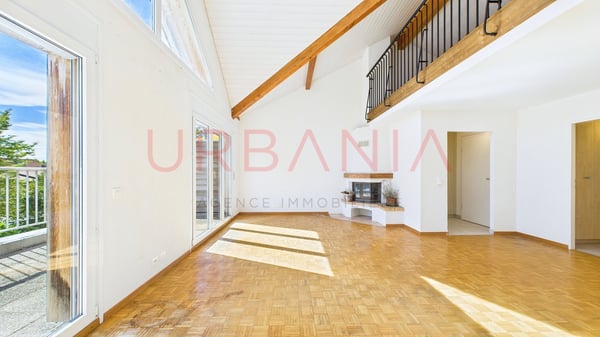 Magnifique appartement de 220m² avec terrasse et mezzanine 1