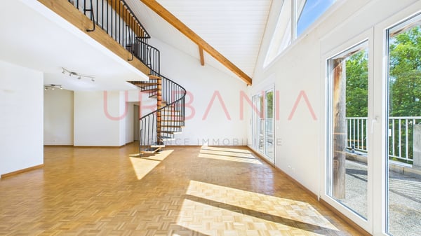 Magnifique appartement de 220m² avec terrasse et mezzanine 4