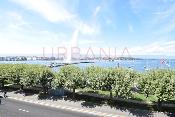 Superbe appartement entièrement rénové face au lac 8