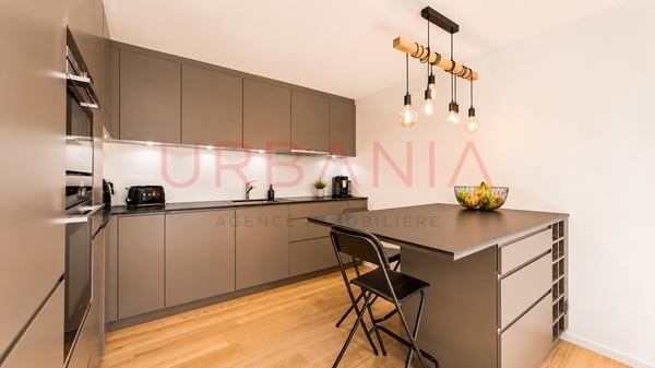 Magnifique maison dans le Vieux Carouge 3