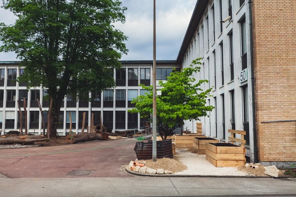 Arbeiten im Einklang von Industriecharme und Naturidylle 1