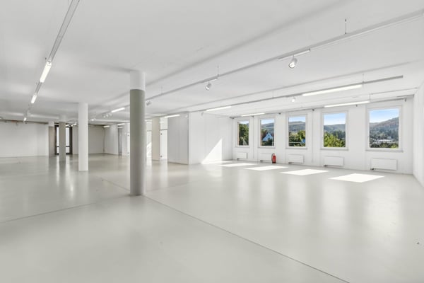 helle Büroräume mit grosszügigem Open Space 5