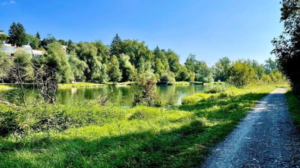 grosszügige Bürofläche in Dietikon zu vermieten 8