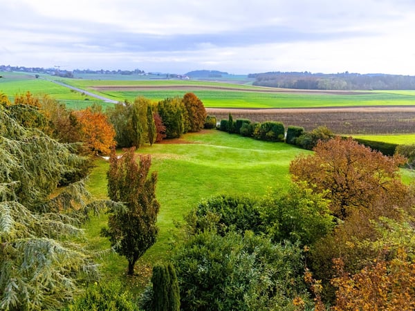 Elégante propriété de 7 pièces - Parcelle de 1'720 m² magnifiquement arboré 11