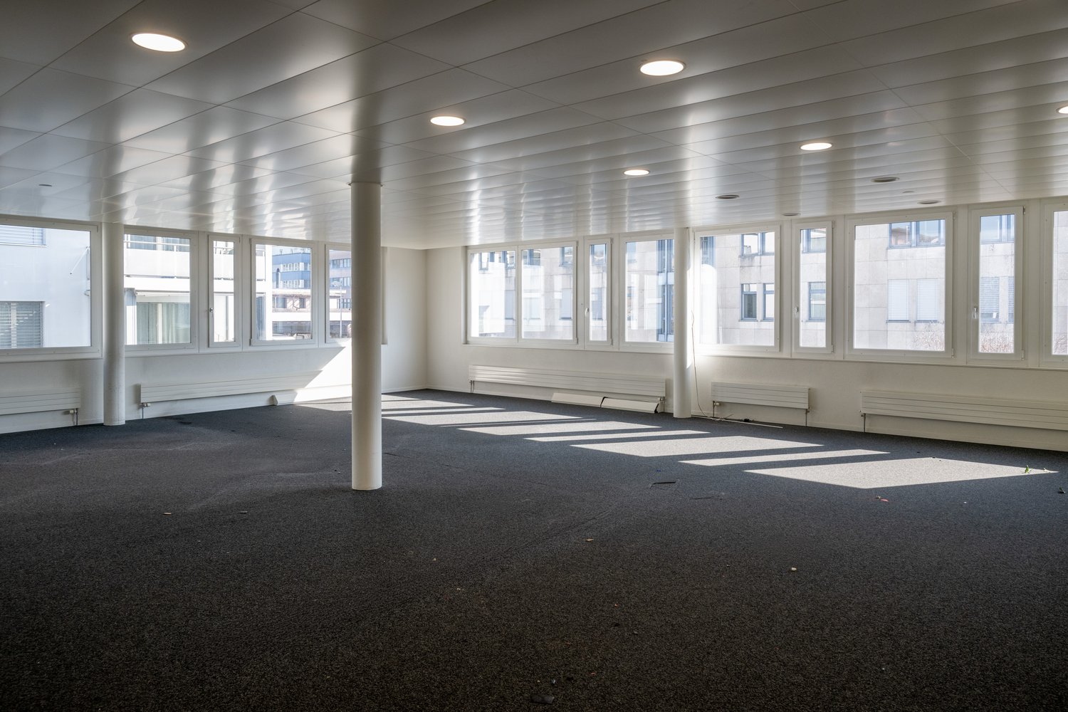 empty room with carpeted floor, white walls, high ceilings, multiple windows