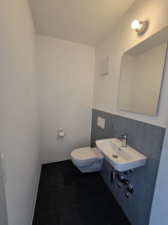 Moderne 2.5-Zimmer-Attikawohnung in Affoltern am Albis zu vermieten 5