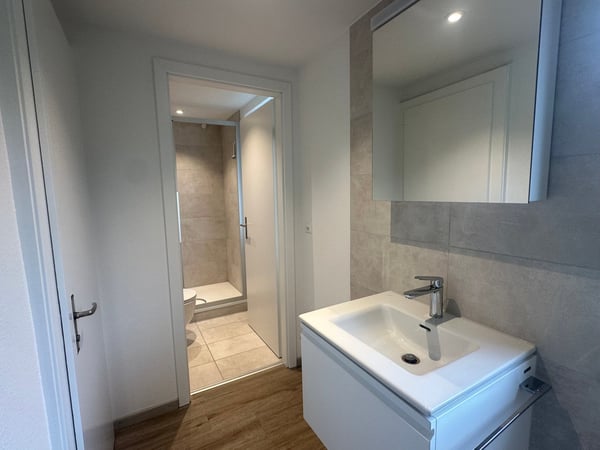 Grosszügige 6.5-Zimmer-Wohnung, ruhig und zentral 5