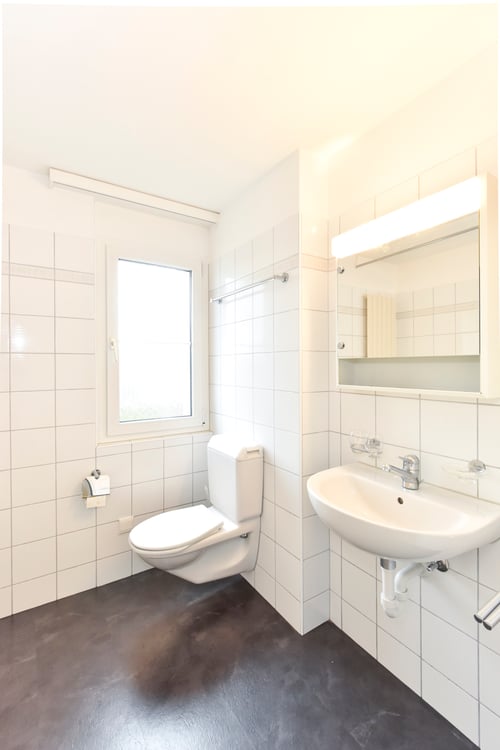 Grosse Erdgeschosswohnung 5