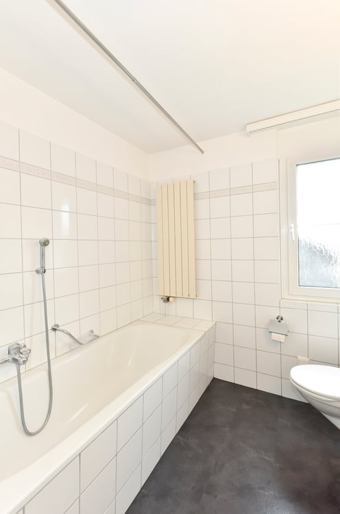 Grosse Erdgeschosswohnung 10