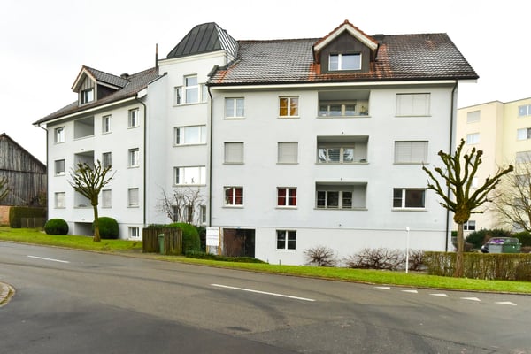 Grosse Erdgeschosswohnung 11