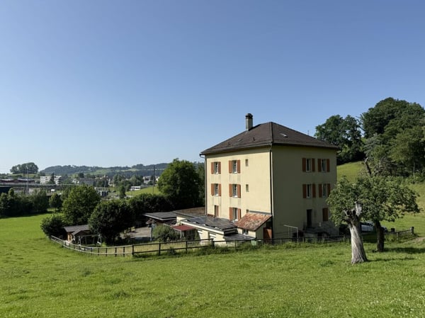 INVESTITIONSOBJEKT NÄHE GÜBSENSEE 1