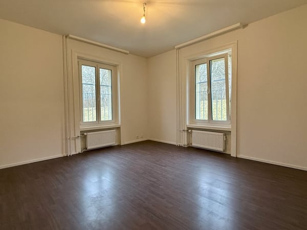 INVESTITIONSOBJEKT NÄHE GÜBSENSEE 7