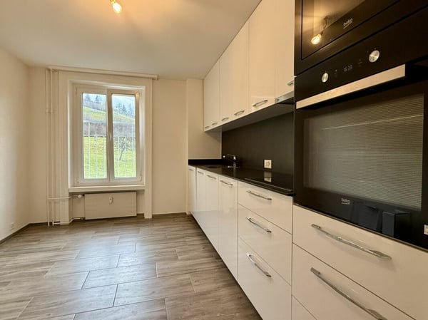 INVESTITIONSOBJEKT NÄHE GÜBSENSEE 3