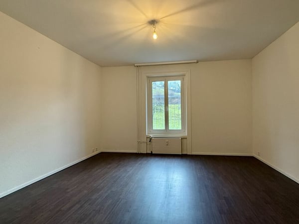 INVESTITIONSOBJEKT NÄHE GÜBSENSEE 6