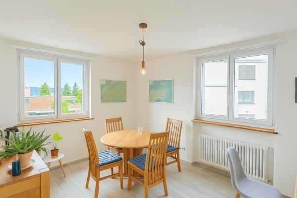 SONNIGER BALKON MIT WEITSICHT BIS AUF DEN UETLIBERG 4