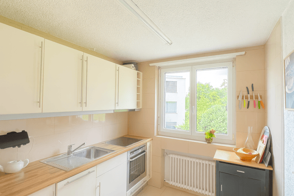 SONNIGER BALKON MIT WEITSICHT BIS AUF DEN UETLIBERG 4