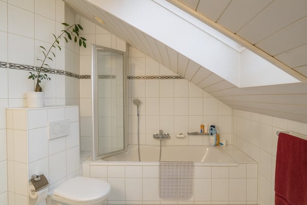 Dachwohnung mit Charme in Windisch 5