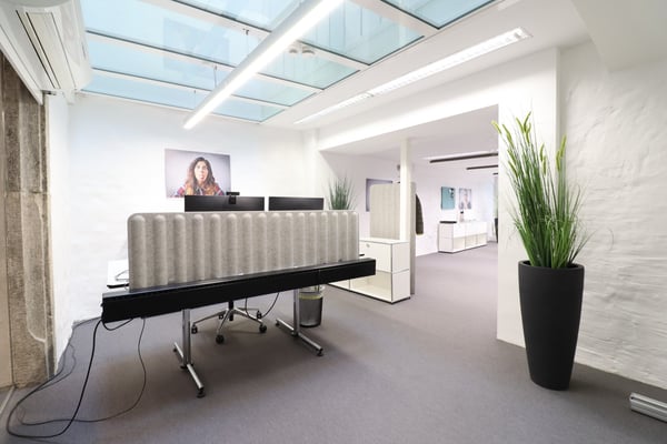 Aussergewöhnliches Büro in der Brugger Altstadt zu vermieten 5