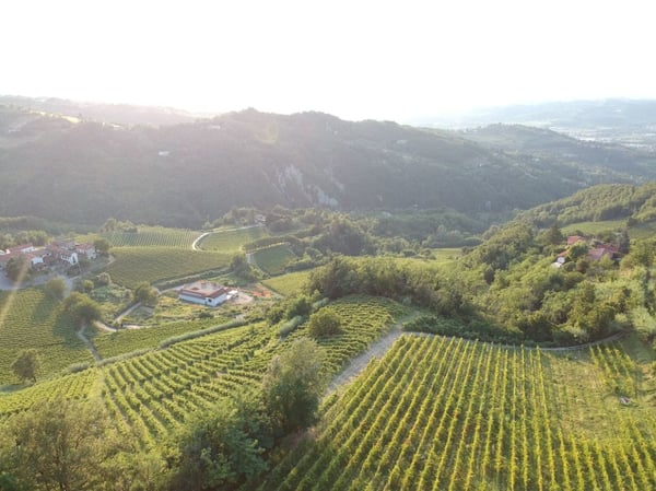 Traumhafte Liegenschaft an einmaliger Lage 15