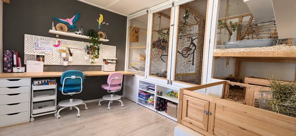 6 1/2 Zimmer Einfamilienhaus inkl. einer 3 1/2 Zimmer Einliegerwohnung 11