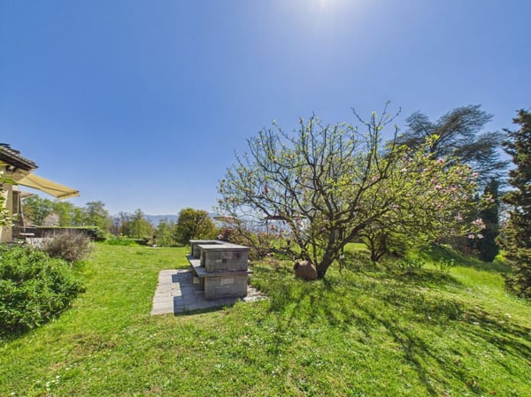 Terreno edificabile in vendita con licenza edilizia approvata 4