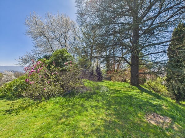 Terreno edificabile in vendita con licenza edilizia approvata 10