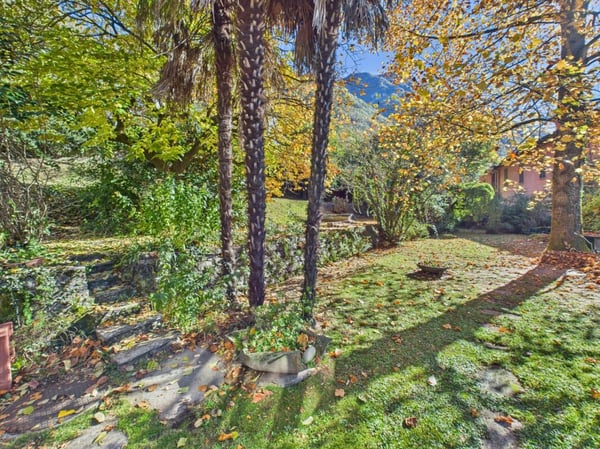 Grande terreno edificabile con ottima potenzialità 10