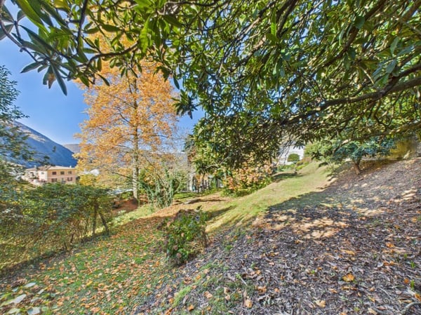 Grande terreno edificabile con ottima potenzialità 7