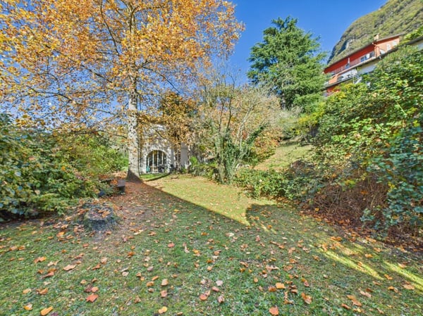 Grande terreno edificabile con ottima potenzialità 8