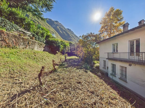 Grande terreno edificabile con ottima potenzialità 9